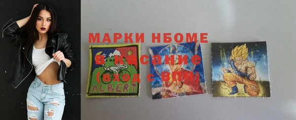 соль ск Балахна