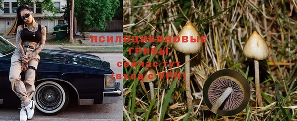соль ск Балахна