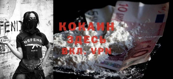 стаф Новокубанск