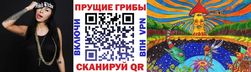 Галлюциногенные грибы мицелий  Закаменск 